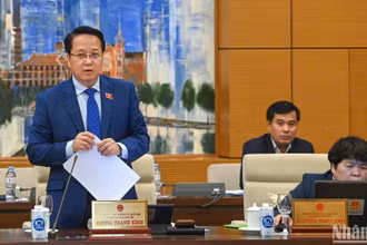Phó Trưởng Ban Dân nguyện Hoàng Anh Công báo cáo tại phiên họp. (Ảnh: DUY LINH)