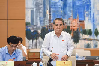 Trưởng Ban Dân nguyện Dương Thanh Bình báo cáo tại phiên họp. (Ảnh: DUY LINH)