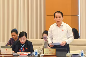 Chủ nhiệm Ủy ban Pháp luật Hoàng Thanh Tùng - Phó Trưởng Đoàn Thường trực Đoàn Giám sát báo cáo tại phiên họp. (Ảnh: DUY LINH)