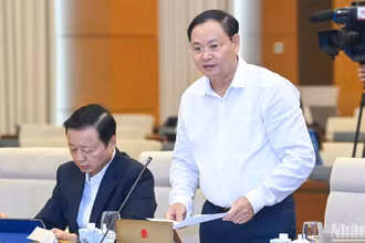 Rà soát, bảo đảm việc điều chỉnh các chỉ tiêu sử dụng đất sát nhu cầu thực tiễn
