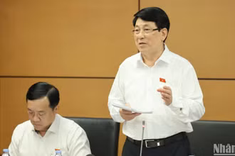 Chủ tịch nước Lương Cường phát biểu ý kiến thảo luận ở tổ chiều 8/5. (Ảnh: DUY LINH)