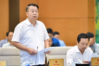 Thứ trưởng Tài chính Nguyễn Đức Chi trình bày tờ trình tóm tắt dự án Luật. (Ảnh: DUY LINH)