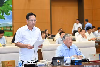 Phó Chánh án Tòa án nhân dân tối cao Nguyễn Văn Tiến trình bày Tờ trình về dự án Luật Tổ chức Tòa án nhân dân (sửa đổi). (Ảnh: DUY LINH)