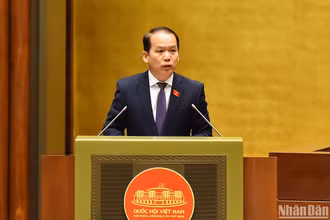 Chủ nhiệm Ủy ban Pháp luật Hoàng Thanh Tùng trình bày Báo cáo giải trình, tiếp thu, chỉnh lý dự thảo Luật Nhà ở (sửa đổi). (Ảnh: THỦY NGUYÊN)