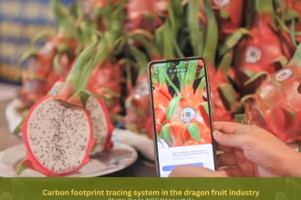 Hệ thống truy xuất "dấu chân carbon" trong ngành hàng thanh long.