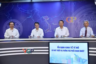 Quang cảnh tọa đàm. (Ảnh: VGP)