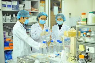 Phê duyệt Chiến lược quốc gia về thu hút, trọng dụng nhân tài