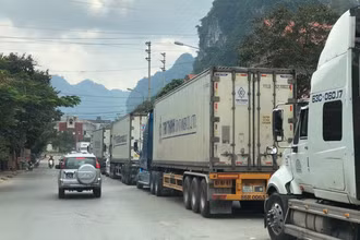 Cấp bách giảm ùn ứ, thúc đẩy xuất khẩu nông sản tại các cửa khẩu biên giới phía bắc. (Ảnh minh họa)