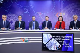 Quang cảnh tọa đàm. (Ảnh: VGP)