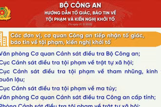 Hướng dẫn tố giác, báo tin về tội phạm, kiến nghị khởi tố từ ngày 1/3/2025