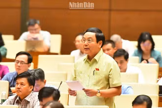 Khắc phục tình trạng luật mới ban hành đã phải sửa đổi, bổ sung