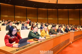 Các đại biểu Quốc hội bấm nút biểu quyết thông qua Luật Khám bệnh, chữa bệnh (sửa đổi). (Ảnh: DUY LINH)