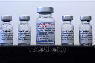 Vaccine ngừa Covid-19 của Pfizer/BioNTech và Moderna. Ảnh: AFP/TTXVN