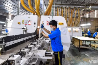 Bên cạnh việc chủ động thích ứng trước chính sách thuế đối ứng của Hoa Kỳ, các hiệp hội và doanh nghiệp cũng kiến nghị cần cân nhắc kỹ lưỡng các chính sách thuế, trong đó có thuế tiêu thụ đặc biệt để không cản trở động lực tăng trưởng kinh tế. (Ảnh minh họa: THÀNH ĐẠT) 