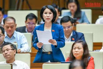 Hoàn thiện các quy định pháp luật về đấu thầu trong lĩnh vực y tế