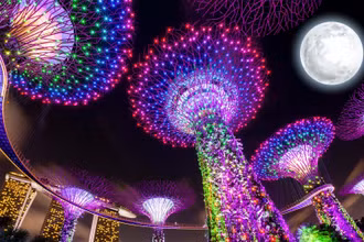 Trình diễn ánh sáng hiện đại trong dịp Trung thu 2022 tại Singapore. (Ảnh: Gardens by the Bay)