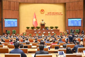 Quốc hội biểu quyết thông qua Luật Tổ chức Chính phủ (sửa đổi) với tỷ lệ tán thành cao. (Ảnh: DUY LINH) 