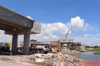 Quảng Ngãi đăng ký nhu cầu vốn năm 2023 cho dự án đường ven biển Dung Quất-Sa Huỳnh là 140 tỷ đồng.