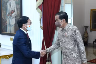 Bộ trưởng Ngoại giao Bùi Thanh Sơn tiếp kiến Tổng thống Indonesia Joko Widodo. (Ảnh: Bộ Ngoại giao)