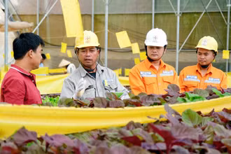 Công nhân ngành điện miền nam tuyên truyền sử dụng điện an toàn, tiết kiệm phục vụ phát triển nông nghiệp. (Ảnh: EVNSPC)