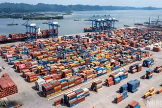Bốc dỡ hàng hóa tại cảng container Đình Vũ, Hải Phòng. (Ảnh minh họa: THÀNH ĐẠT)