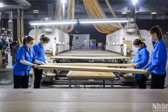 Doanh nghiệp châu Âu lạc quan về kinh tế Việt Nam. (Ảnh minh họa: THÀNH ĐẠT)