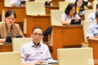 Các đại biểu Quốc hội tham dự phiên họp chiều 23/10. (Ảnh: THỦY NGUYÊN) 