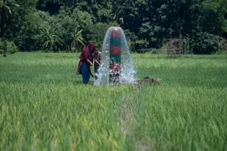 Năm 2022, ADB cung cấp 3,7 tỷ USD trong khuôn khổ chương trình an ninh lương thực trị giá 14 tỷ USD của mình, cung cấp cứu trợ lương thực thiết yếu cho những người cần hỗ trợ nhất và tăng cường các hệ thống sản xuất lương thực. (Ảnh minh họa: ADB)
