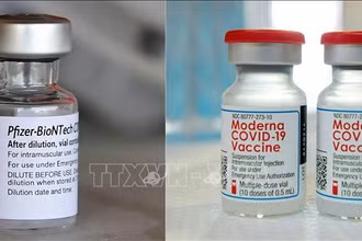 Vaccine ngừa Covid-19 của Moderna và Pfizer/BioNTech. (Ảnh: AFP/TTXVN)