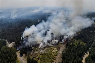 Khói bốc lên từ đám cháy rừng ở Cabrero, Chile ngày 7/2/2023. (Ảnh: AFP/TTXVN)
