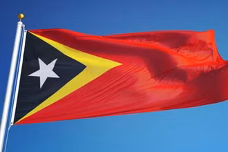 Điện mừng Ngày độc lập nước Cộng hoà dân chủ Timor-Leste 