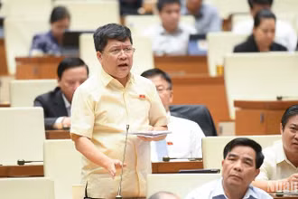 Đại biểu Tạ Văn Hạ (Quảng Nam) phát biểu. (Ảnh: DUY LINH) 