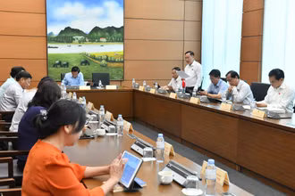 Đại biểu Quốc hội đề nghị cân nhắc áp dụng thuế giá trị gia tăng đối với phân bón 
