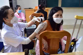 Cải cách tiền lương được kỳ vọng sẽ giúp nâng cao đời sống của cán bộ, công chức, viên chức, đặc biệt là người lao động trong trong ngành giáo dục, y tế. (Ảnh minh họa: THÀNH ĐẠT) 