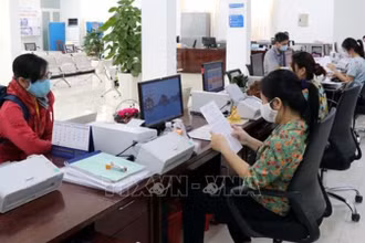Giải quyết hồ sơ, thủ tục hành chính cho các doanh nghiệp. (Ảnh minh họa: TTXVN) 