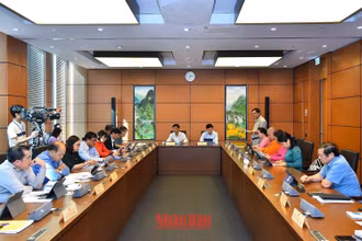Quang cảnh thảo luận tại Tổ 8 chiều 1/11. (Ảnh: THỦY NGUYÊN)