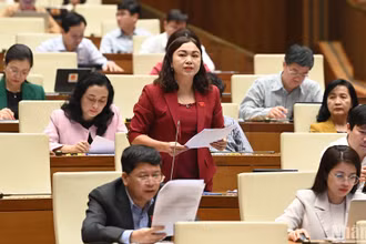 Đại biểu Đặng Bích Ngọc - Đoàn đại biểu Quốc hội tỉnh Hòa Bình phát biểu. (Ảnh: THỦY NGUYÊN) 