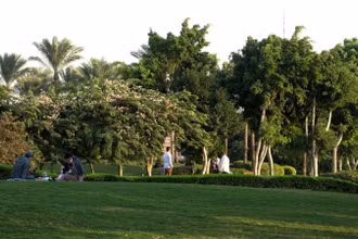 Mảng xanh tại Công viên Al-Azhar ở Cairo, Ai Cập. (Ảnh minh họa: Xinhua) 