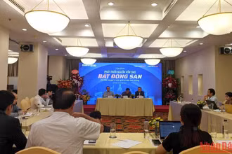 Toàn cảnh tọa đàm. (Ảnh: TRUNG HƯNG)