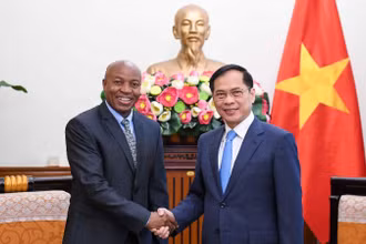 Phó Thủ tướng, Bộ trưởng Ngoại giao Bùi Thanh Sơn tiếp Thứ trưởng Ngoại giao và Hợp tác Đông Phi Tanzania Cosato David Chumi.