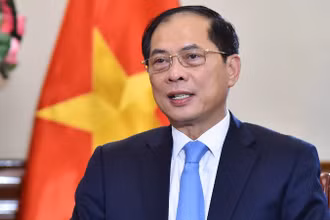 Phó Thủ tướng, Bộ trưởng Ngoại giao Bùi Thanh Sơn. (Ảnh: Báo Thế giới và Việt Nam)