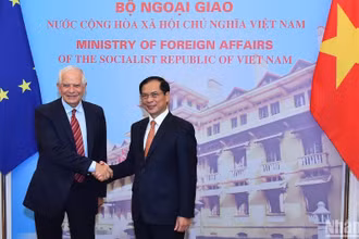 Bộ trưởng Ngoại giao Bùi Thanh Sơn và Phó Chủ tịch EC, Đại diện cấp cao EU về chính sách đối ngoại và an ninh Josep Borrell Fontelles. (Ảnh: THỦY NGUYÊN)
