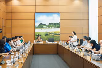 Quang cảnh phiên thảo luận tại Tổ 8, chiều 8/6. (Ảnh: TRUNG HƯNG)