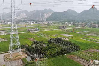 Thi công dự án đường dây 500kV mạch 3 trên địa bàn tỉnh Thanh Hóa. (Ảnh: TUẤN HUY)