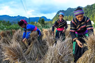 Việt Nam nỗ lực triển khai và thực thi Công ước CERD, tăng cường sự thụ hưởng các quyền về mọi mặt của người dân tộc thiểu số. (Ảnh minh họa: THÀNH ĐẠT) 