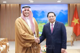 Thủ tướng Phạm Minh Chính tiếp Đại sứ Saudi Arabia tại Việt Nam Mohammed Ismaeil A. Dahlwy. (Ảnh tư liệu: TTXVN)