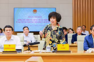 Anh hùng Lao động Thái Hương phát biểu tại Hội nghị của Thường trực Chính phủ làm việc với các doanh nghiệp lớn. 