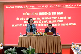 Đồng chí Trương Thị Mai phát biểu tại buổi làm việc. 