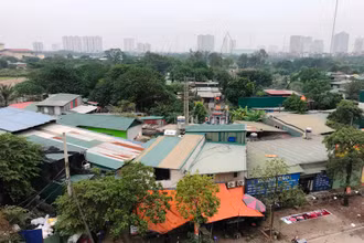 Đất nông nghiệp tại huyện Thanh Trì bị sử dụng sai mục đích. 