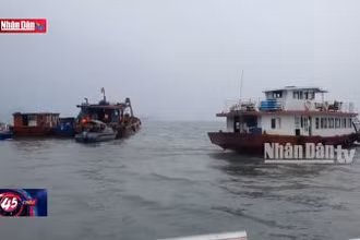 Quảng Ninh: Tìm thấy nạn nhân còn lại của vụ đắm tàu tại khu vực Hòn Nét